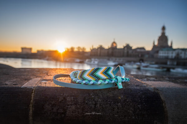 CASPER'S ELBE GLOW HALSBAND/LEINE