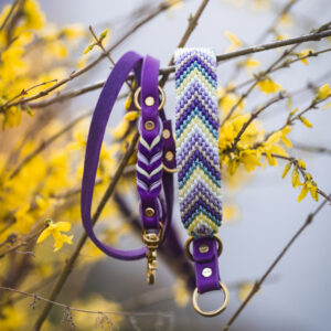 PIXEL'S AURORA FIELDS