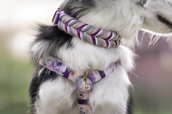 LUCY'S BEAUTY OF PURPLE PASSION – Bild 2