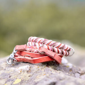 PEACH'S FLORAL WHISPER 🌸🐾