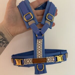 BOHO-GESCHIRR BLUE S / GOLD BESCHLAG