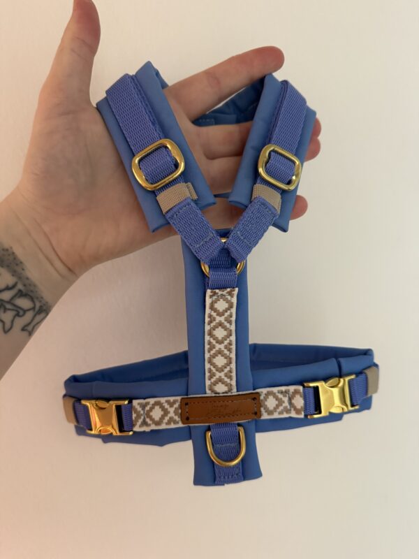 BOHO-GESCHIRR BLUE S / GOLD BESCHLAG