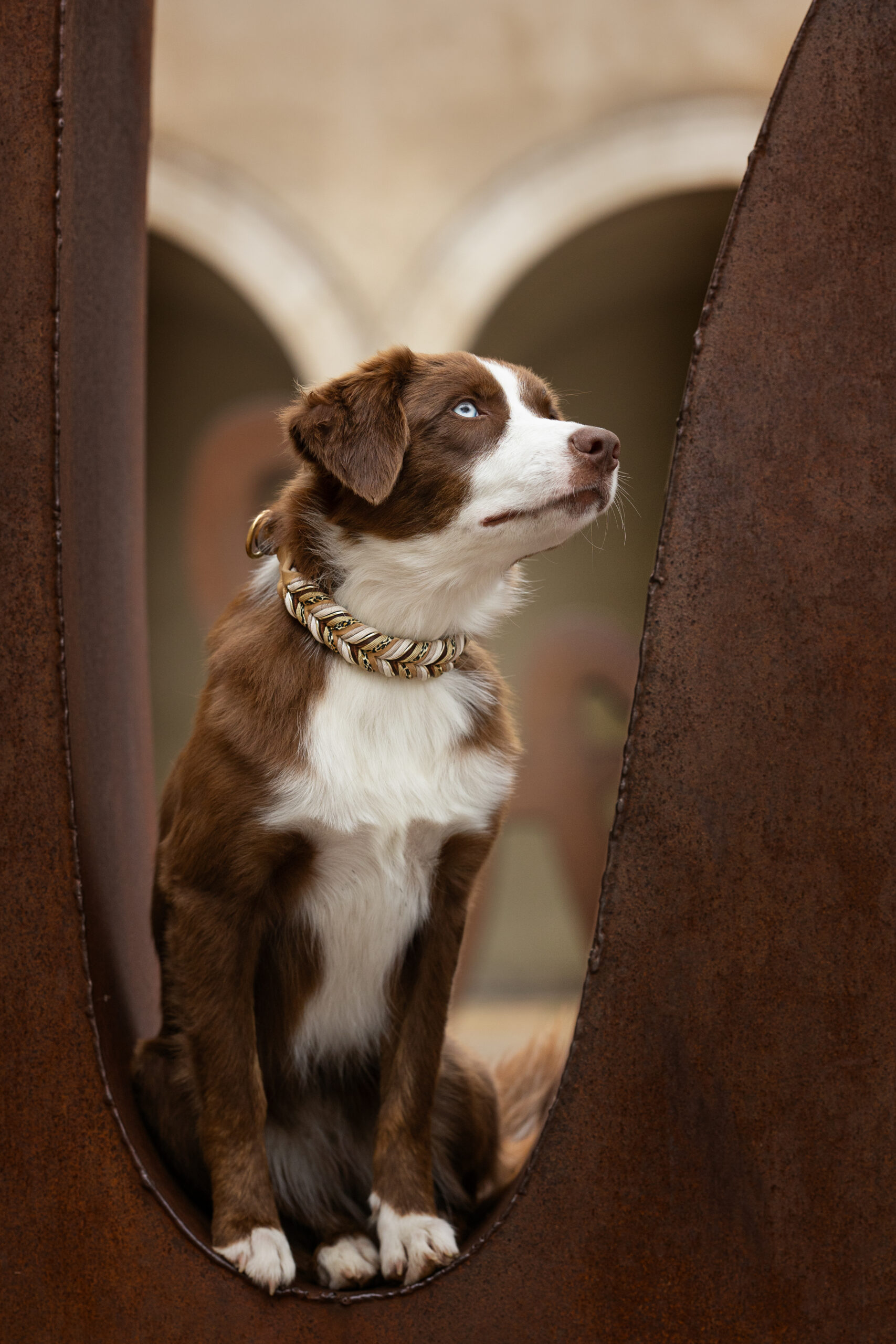 RUBY’S WILD LEO 🤎🐆 – Bild 2