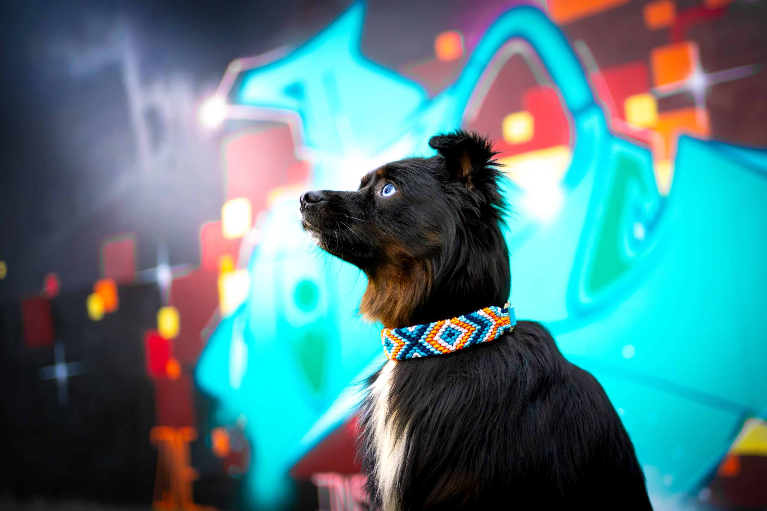 SANIJ'S NEON DRIFT 🐾⚡ – Bild 3