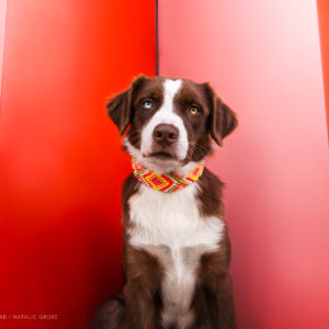 RUBY'S WATERMELON CRUSH 🍉💖