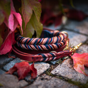 DIEGO'S RUSTIC WINE 🍷🍂