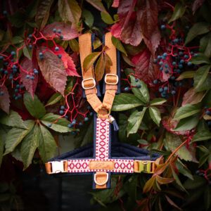 DIEGO'S RUSTIC WINE GESCHIRR🍷🍂