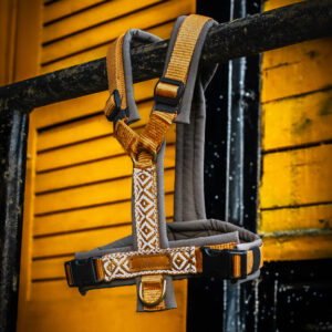 VITO'S URBAN TALES OF AUTUMN GESCHIRR 🍁🧡