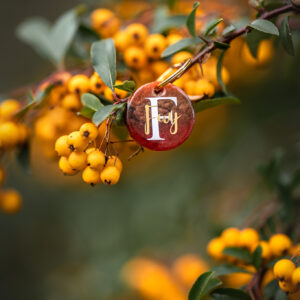 HUNDEMARKE PASSEND ZUM HERBST SET 🍂