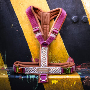 FAY'S RUSTIC ROMANCE GESCHIRR 🤎🍇🌾