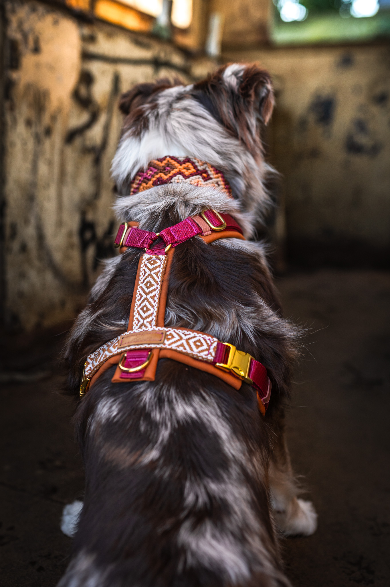 FAY'S RUSTIC ROMANCE GESCHIRR 🤎🍇🌾 – Bild 3