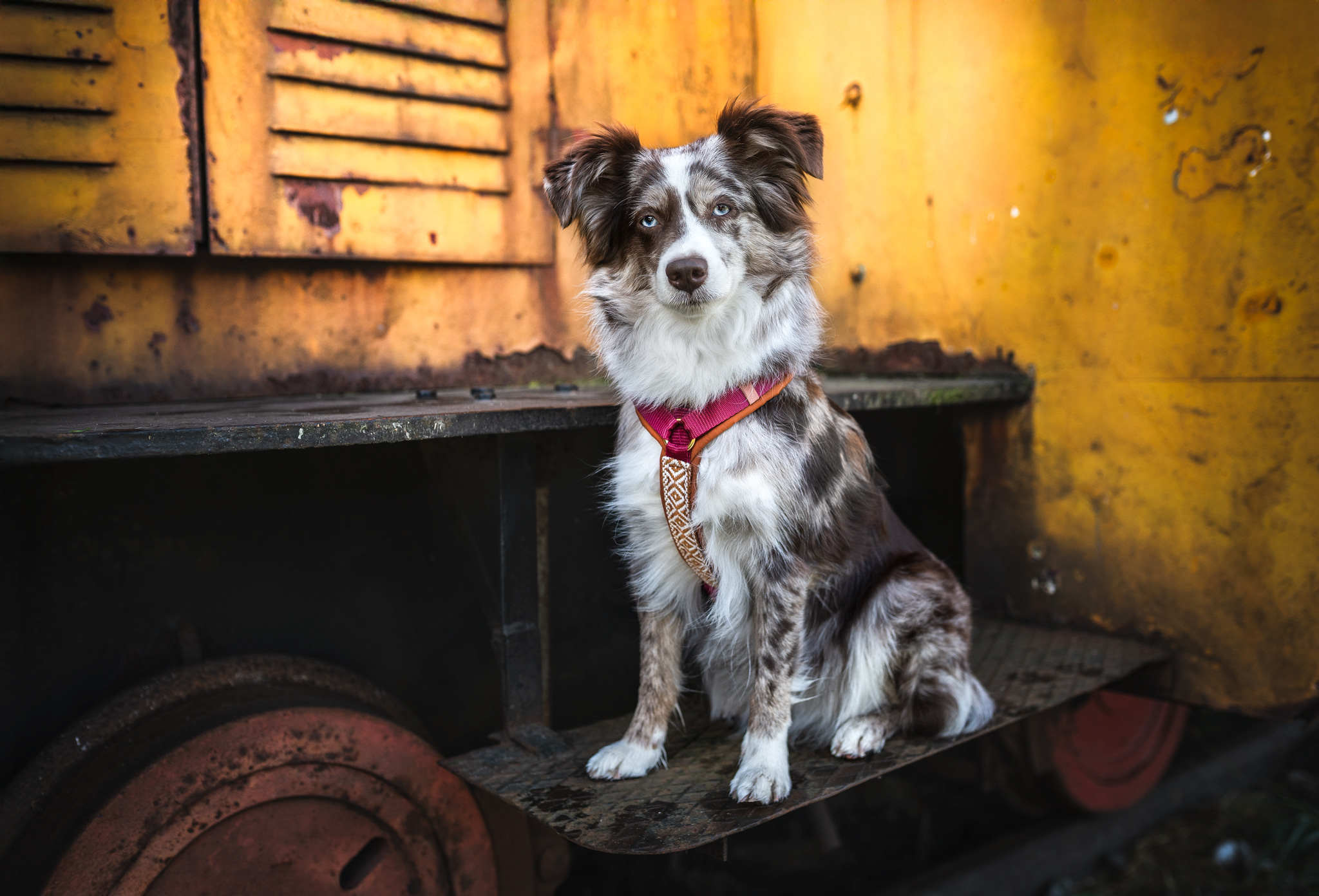 FAY'S RUSTIC ROMANCE GESCHIRR 🤎🍇🌾 – Bild 2
