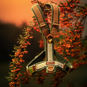 CHARLY'S WOODLAND FLAME 🍂🔥