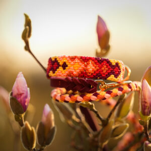 PIET'S GOLDEN HOUR 🔥✨