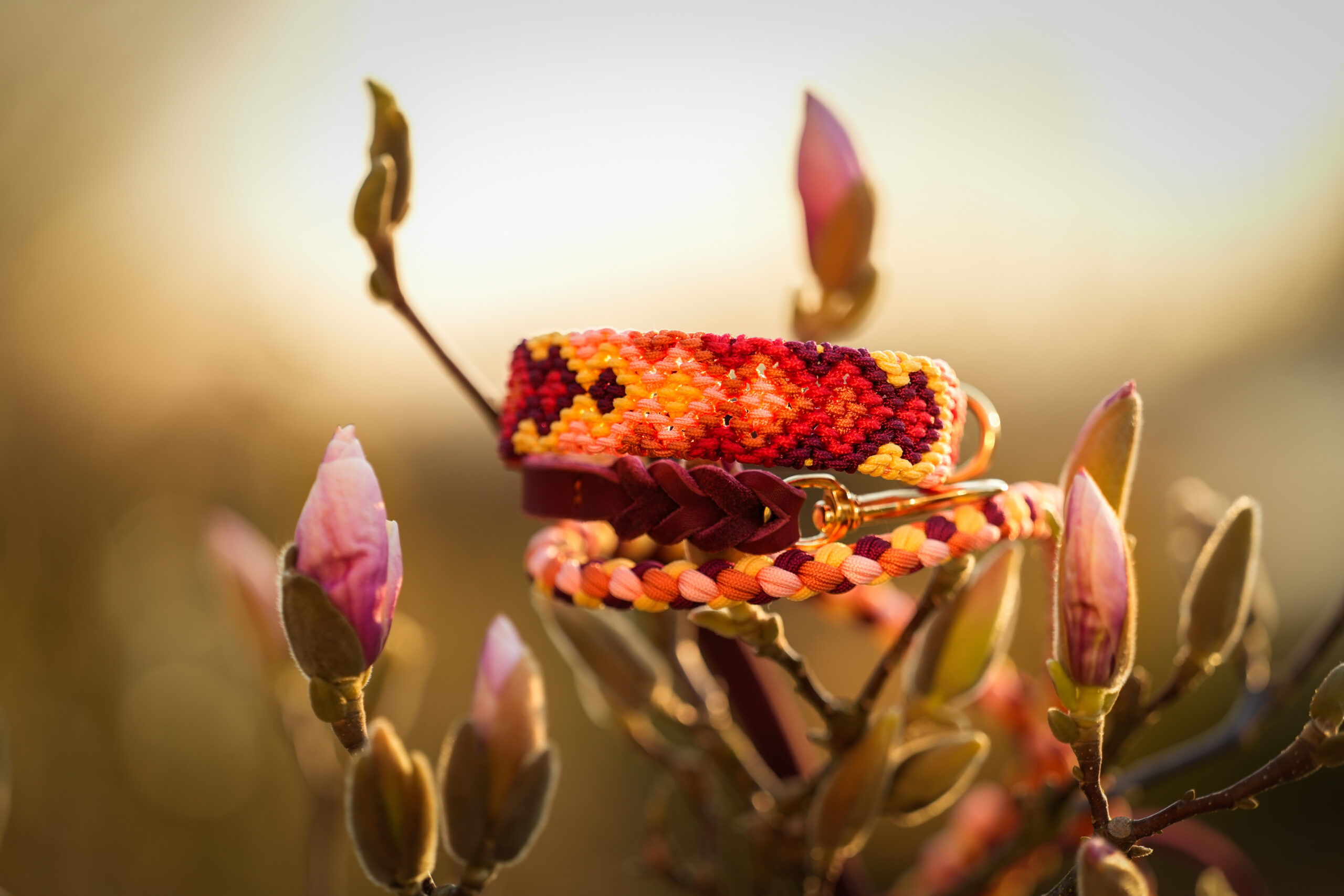 PIET'S GOLDEN HOUR 🔥✨