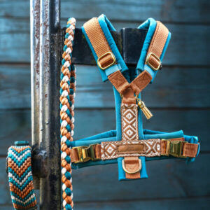 NAMI'S TEAL HARVEST GESCHIRR