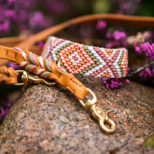 SOCKE'S MAGNOLIA DREAM🌸