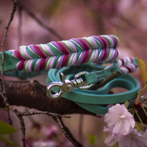 RUBY'S COTTON CANDY BLOOM 🍭🌸