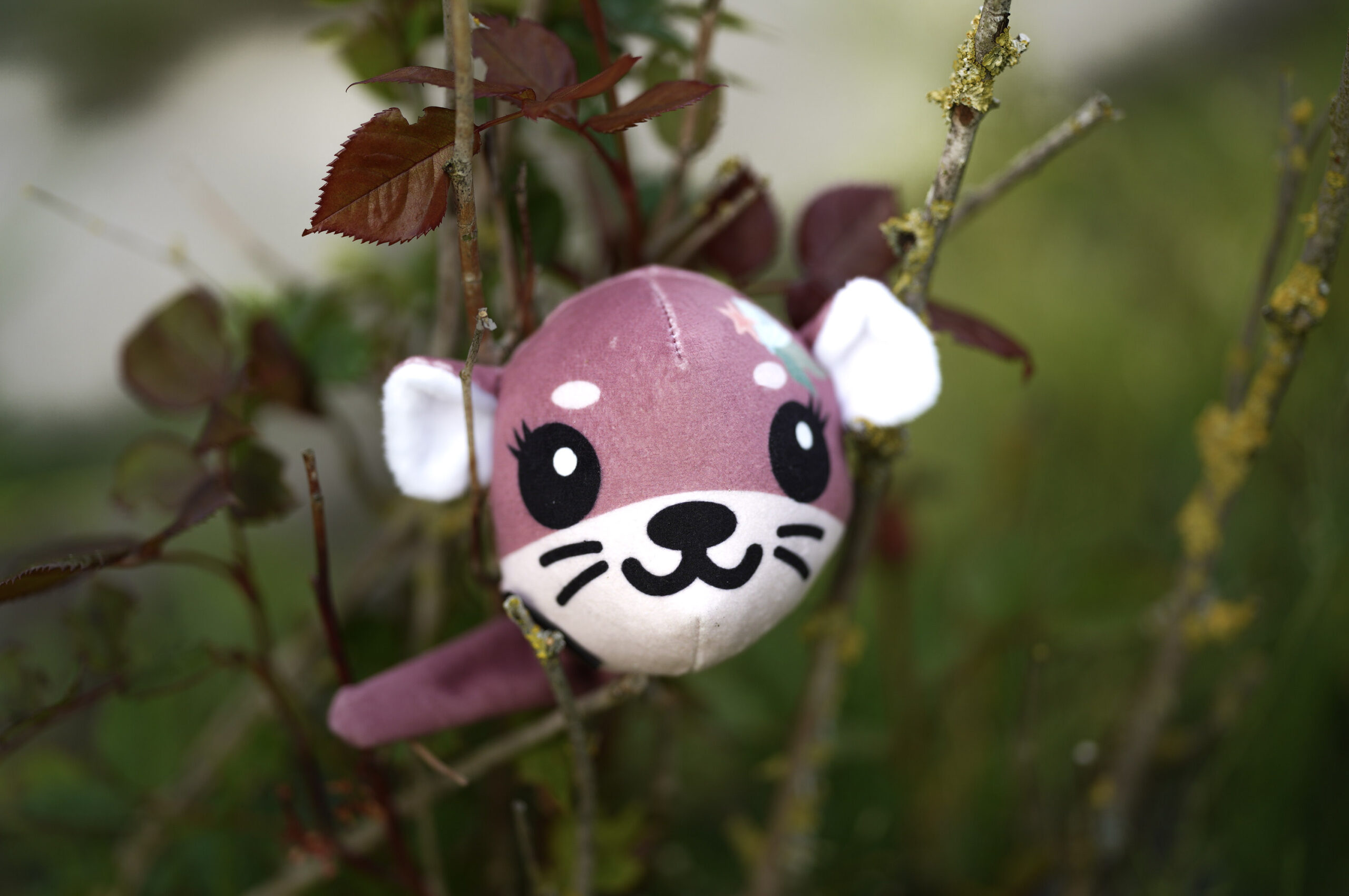 PUFFBALL - OTTER