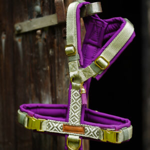 VIOLET HARMONY GESCHIRR