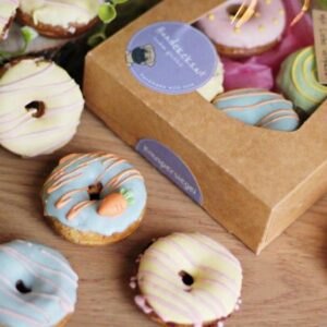 SPRING DONUTS