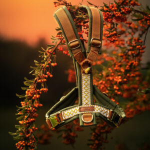 CHARLY'S WOODLAND FLAME GESCHIRR 🍂🔥