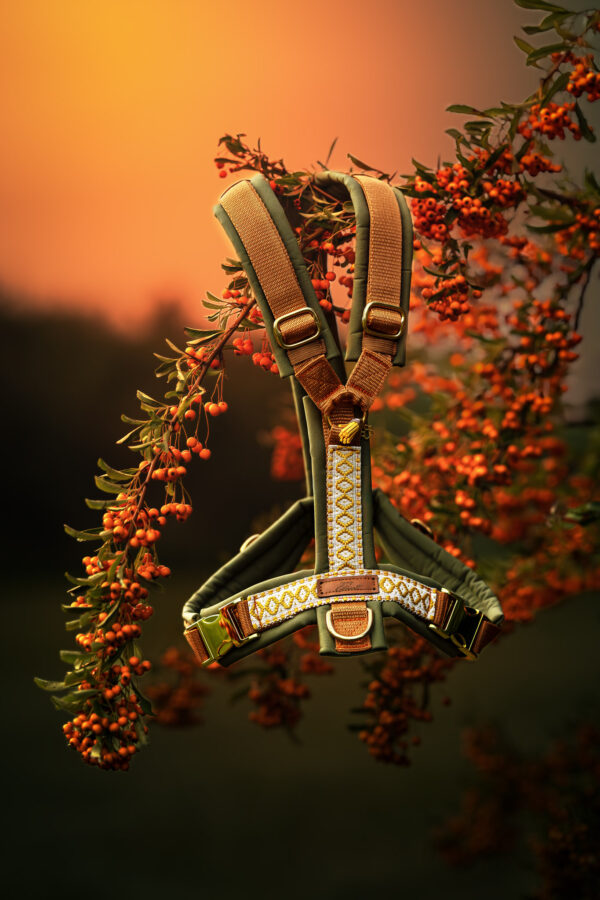 CHARLY’S WOODLAND FLAME GESCHIRR 🍂🔥