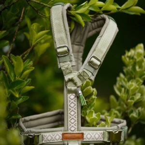INDIRA’S PINEWOOD DREAM GESCHIRR