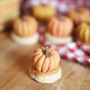 MINI PUMPKIN PRALINCHEN (6 STÜCK)